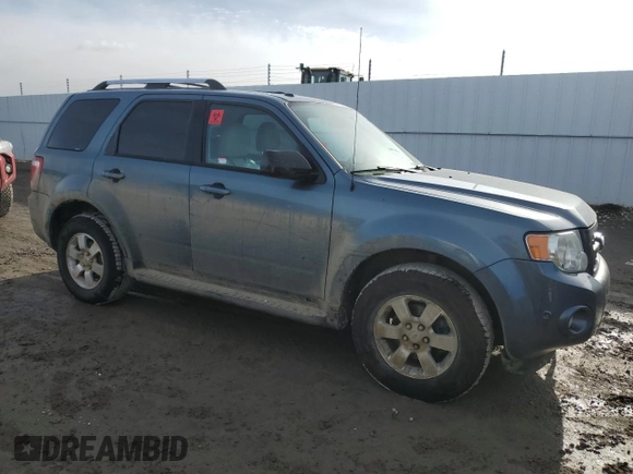 2010 Ford Escape Limited with VIN 1FMCU9E77AKD23121, listed as a Copart auction lot 50243295 with Not provided miles and Salvage title. Bid and sale history available at DreamBid. Image 4.