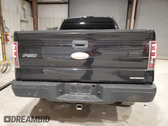 2011 Ford F-150 XL with VIN 1FTMF1EF7BFB43742, listed as a Copart auction lot 87248424 with 164,668 mi miles and Salvage title. Bid and sale history available at DreamBid. Image 6.