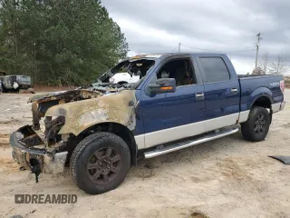 2010 Ford F-150 XL with VIN 1FTFW1EV4AFD69722, listed as a Copart auction lot 45455405 with 0 mi miles and Salvage Title. Bid and sale history available at carsss.com. Image 1.