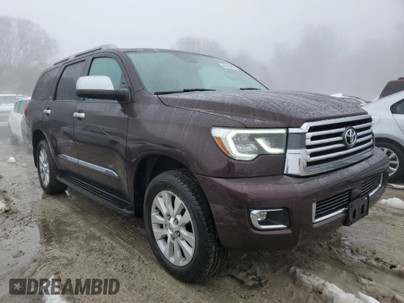 2019 Toyota Sequoia Platinum with VIN 5TDDY5G15KS167508, listed as a Copart auction lot 45140485 with 117,197 mi miles and Salvage Title. Bid and sale history available at carsss.com. Image 4.