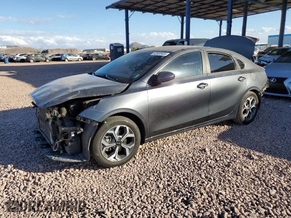 2019 Kia Forte LXS with VIN 3KPF24ADXKE008680, listed as a Copart auction lot 42830905 with 124,252 mi miles and Salvage Title. Bid and sale history available at carsss.com. Image 1.