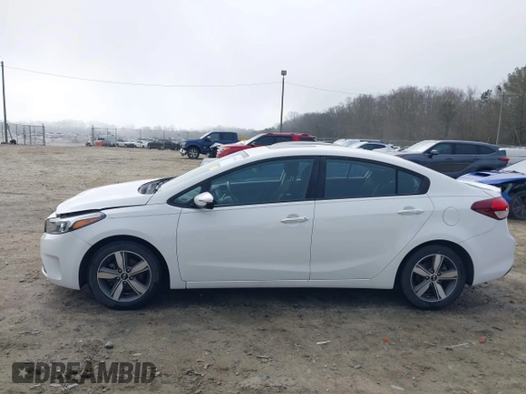 2018 Kia Forte LX with VIN 3KPFL4A73JE266545, listed as a IAAI auction lot 41784931 with 123,076 mi miles and . Bid and sale history available at DreamBid. Image 14.