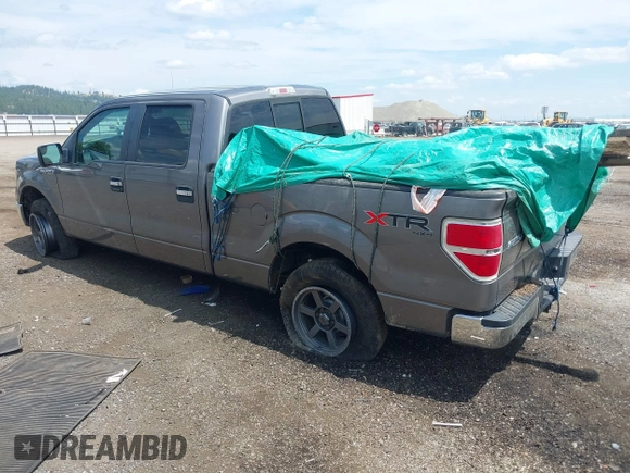 2010 Ford F-150 XL with VIN 1FTFW1EV3AFD14579, listed as a IAAI auction lot 42598587 with 196,758 mi miles and . Bid and sale history available at DreamBid. Image 3.