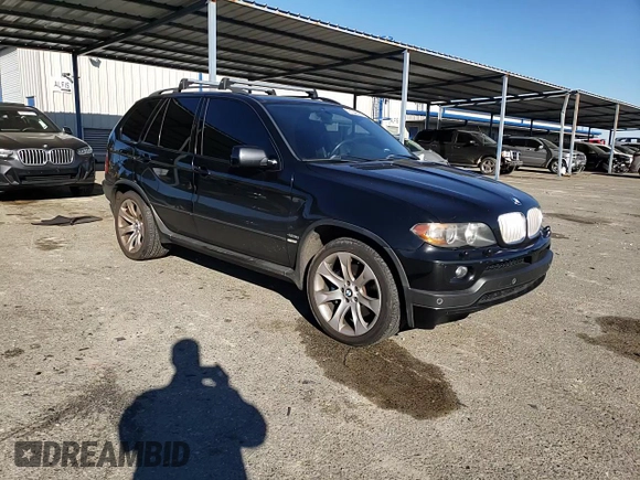2005 BMW X5 4.8is with VIN 5UXFA93515LE83489, listed as a Copart auction lot 87840265 with 131,786 mi miles and Salvage Title. Bid and sale history available at carsss.com. Image 12.