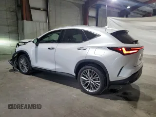 2024 Lexus NX 350 Luxury with VIN 2T2HGCEZ1RC032641, listed as a Copart auction lot 78961404 with 13,066 mi miles and Salvage title. Bid and sale history available at DreamBid. Image 2.