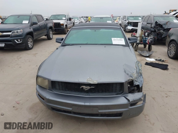 2006 Ford Mustang Standard with VIN 1ZVFT84N565190246, listed as a IAAI auction lot 41532901 with 209,885 mi miles and . Bid and sale history available at carsss.com. Image 13.
