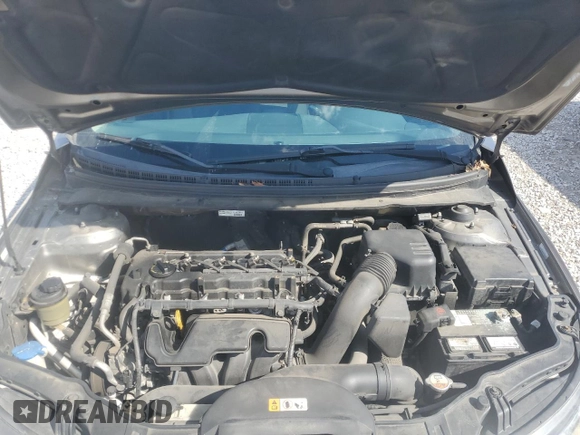 2013 Kia Forte EX with VIN KNAFU4A25D5672809, listed as a Copart auction lot 46978785 with 175,173 mi miles and Salvage Title. Bid and sale history available at carsss.com. Image 12.