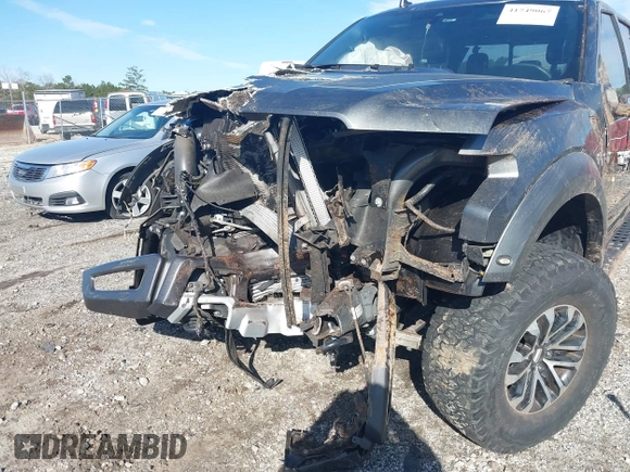 2019 Ford F-150 Raptor with VIN 1FTFW1RG0KFC16008, listed as a IAAI auction lot 41749067 with 74,452 mi miles. Bid and sale history available at carsss.com. Image 6.
