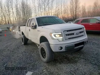 2013 Ford F-150 XL с VIN 1FTFX1CT6DFC88336, выставлен на аукционе Copart как лот 84088974 с пробегом 124 538 миль миль и Списание • Salvage title. История ставок и продаж доступна на DreamBid. Изображение 11.