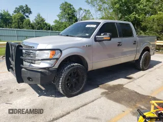 2013 Ford F-150 XL with VIN 1FTFW1EF8DKD89623, listed as a Copart auction lot 57094125 with 238,821 mi miles and Salvage title. Bid and sale history available at DreamBid. Image 1.