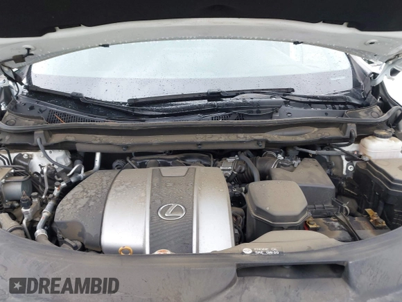 2022 Lexus RX 350 with VIN 2T2HZMAA7NC245779, listed as a IAAI auction lot 41784965 with 34,369 mi miles and . Bid and sale history available at DreamBid. Image 10.