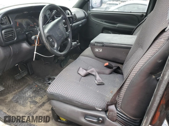 1999 Dodge 1500 with VIN 3B7HC12Y8XG189909, listed as a Copart auction lot 87682755 with Not Provided miles and Salvage Title. Bid and sale history available at DreamBid. Image 8.
