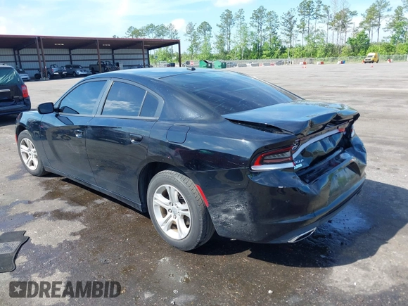 2019 Dodge Charger SXT with VIN 2C3CDXBG9KH572644, listed as a IAAI auction lot 41953147 with 205,024 mi miles. Bid and sale history available at carsss.com. Image 3.