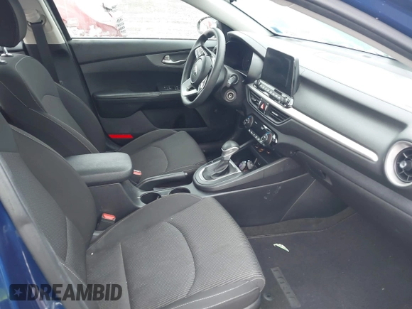 2019 Kia Forte LXS with VIN 3KPF24AD2KE124858, listed as a IAAI auction lot 41073436 with 95,218 mi miles. Bid and sale history available at carsss.com. Image 5.