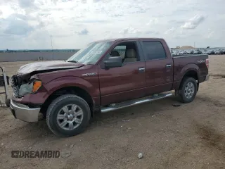 2010 Ford F-150 XL with VIN 1FTEW1E88AFA28250, listed as a Copart auction lot 59982385 with 165,028 mi miles and Salvage title. Bid and sale history available at DreamBid. Image 1.