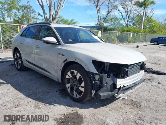 2022 Audi e-tron Premium with VIN WA1AAAGE1NB012253, listed as a IAAI auction lot 41424316 with 23,667 mi miles. Bid and sale history available at carsss.com. Image 1.