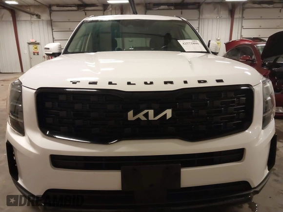 2022 Kia Telluride EX z VIN 5XYP3DHC2NG201167, wystawiony jako IAAI lot #42572806 z przebiegiem 67 409 mil mil oraz . Historia ofert i sprzedaży dostępna na DreamBid. Obrazek 13.