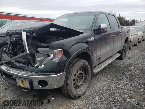 2013 Ford F-150 with VIN 2ATE01102DKD97632, listed as a Copart auction lot 49815235 with Not provided miles and Salvage title. Bid and sale history available at DreamBid. Image 1.