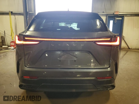 2024 Lexus NX 350 Premium with VIN 2T2GGCEZ7RC051044, listed as a Copart auction lot 59289795 with 9,769 mi miles and Salvage title. Bid and sale history available at DreamBid. Image 6.