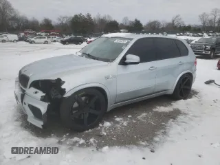 2010 BMW X5 M with VIN 5YMGY0C54ALK25477, listed as a Copart auction lot 88254255 with 127,490 mi miles and Salvage Title. Bid and sale history available at carsss.com. Image 1.
