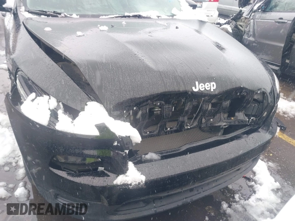 2017 Jeep Cherokee Sport with VIN 1C4PJMAB3HW599844, listed as a IAAI auction lot 41612508 with 112,237 mi miles. Bid and sale history available at carsss.com. Image 6.