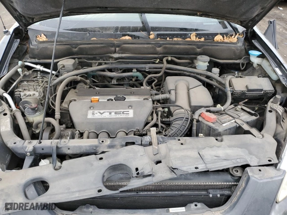 2003 Honda CR-V EX with VIN JHLRD77813C047446, listed as a Copart auction lot 81651614 with 0 mi miles and Salvage Title. Bid and sale history available at carsss.com. Image 12.