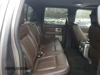 2010 Ford F-150 XL with VIN 1FTFW1EV8AFA22412, listed as a Copart auction lot 42259025 with 249,847 mi miles and Salvage title. Bid and sale history available at DreamBid. Image 10.