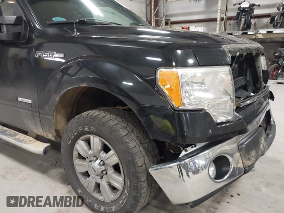 2012 Ford F-150 XL with VIN 1FTFW1ET2CFB04167, listed as a IAAI auction lot 42059745 with 178,259 mi miles and . Bid and sale history available at DreamBid. Image 19.