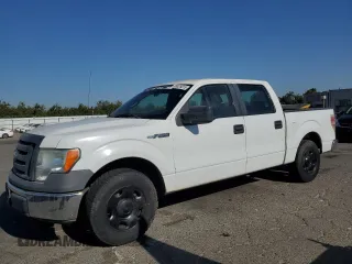 2009 Ford F-150 XL with VIN 1FTRW12W19KC95673, listed as a Copart auction lot 65025015 with 113,221 mi miles and Non repairable. Bid and sale history available at DreamBid. Image 1.