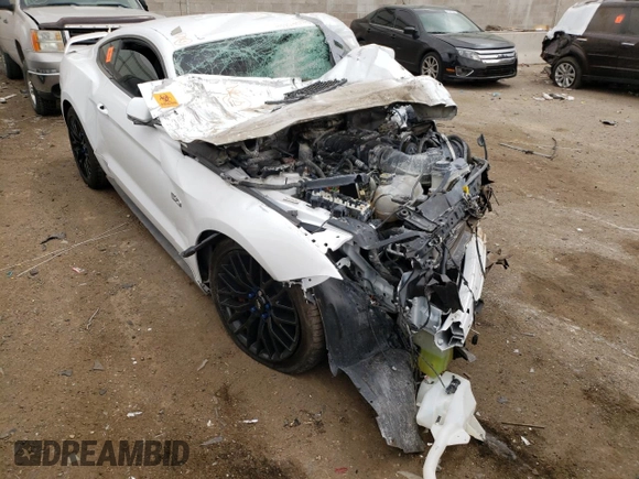 2020 Ford Mustang GT with VIN 1FA6P8CF5L5133791, listed as a Copart auction lot 40229052 with Not Provided miles and Salvage Title. Bid and sale history available at DreamBid. Image 1.
