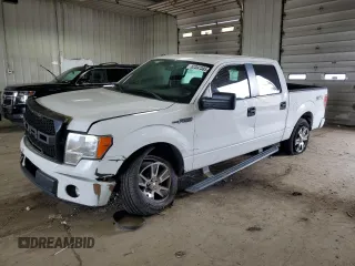 2014 Ford F-150 XL with VIN 1FTEW1CM4EFA05604, listed as a Copart auction lot 62397385 with 118,503 mi miles and Non repairable. Bid and sale history available at DreamBid. Image 1.