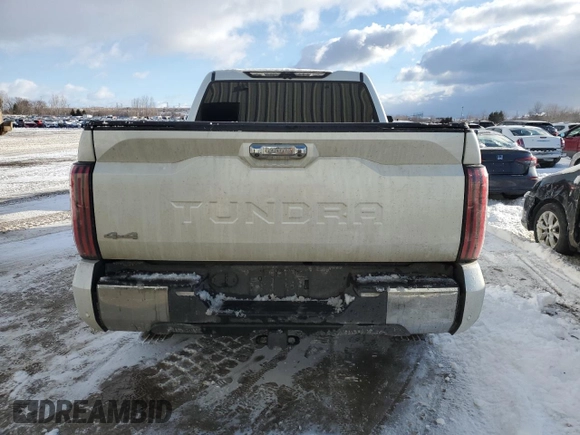 2022 Toyota Tundra 1794 Edition with VIN 5TFMA5DB8NX045547, listed as a Copart auction lot 42543985 with 39,256 mi miles and Clean title. Bid and sale history available at DreamBid. Image 6.