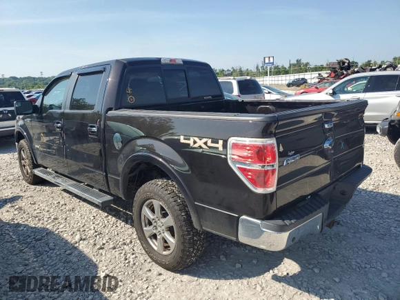 2013 Ford F-150 XL with VIN 1FTFW1ET8DKE61054, listed as a Copart auction lot 64204095 with 124,924 mi miles and Salvage title. Bid and sale history available at DreamBid. Image 2.