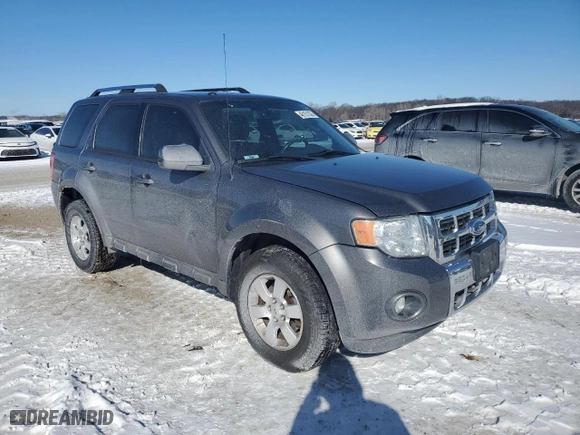 2009 Ford Escape Limited with VIN 1FMCU04769KB22223, listed as a Copart auction lot 46151335 with 191,329 mi miles and Salvage Title. Bid and sale history available at carsss.com. Image 4.