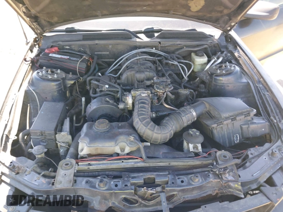 2005 Ford Mustang Deluxe with VIN 1ZVFT80N755187675, listed as a IAAI auction lot 42541269 with 192,474 mi miles and . Bid and sale history available at DreamBid. Image 10.