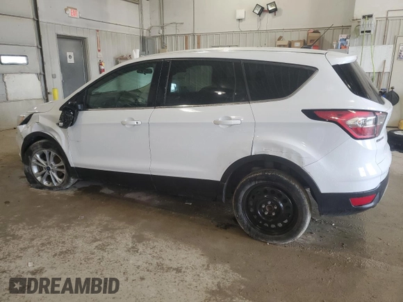 2017 Ford Escape SE with VIN 1FMCU0GD5HUD28394, listed as a Copart auction lot 52079995 with 120,223 mi miles and Salvage Title. Bid and sale history available at DreamBid. Image 2.