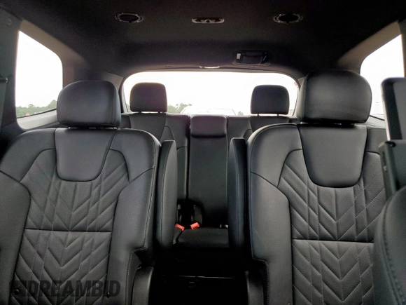 2023 Kia Telluride EX X-Line with VIN 5XYP3DGC6PG360956, listed as a Copart auction lot 62949115 with 28,900 mi miles and Salvage title. Bid and sale history available at DreamBid. Image 10.