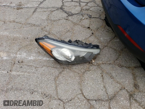 2014 Kia Forte LX with VIN KNAFK4A62E5072887, listed as a Copart auction lot 54943764 with 0 mi miles and Salvage Title. Bid and sale history available at carsss.com. Image 12.