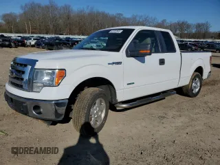 2012 Ford F-150 XL with VIN 1FTFX1CT5CFB51080, listed as a Copart auction lot 48702865 with 204,604 mi miles and Clean Title. Bid and sale history available at carsss.com. Image 1.