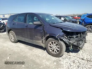 2019 Chevrolet Equinox LS with VIN 3GNAXHEV0KS539269, listed as a Copart auction lot 48317305 with 116,089 mi miles and Salvage Title. Bid and sale history available at DreamBid. Image 4.