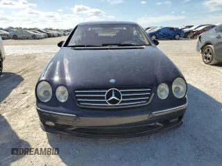 2002 Mercedes-Benz CL AMG with VIN WDBPJ73J02A021435, listed as a Copart auction lot 77801194 with Not Provided miles and Salvage Title. Bid and sale history available at carsss.com. Image 5.