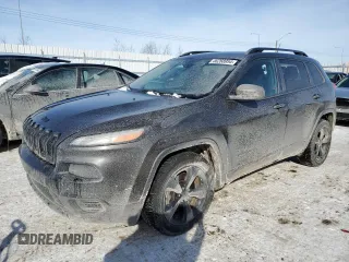 2017 Jeep Cherokee Sport z VIN 1C4PJLAS0HW597656, wystawiony jako Copart lot #46268954 z przebiegiem 253 769 mil mil oraz Szkoda całkowita • Salvage title. Historia ofert i sprzedaży dostępna na DreamBid. Obrazek 1.