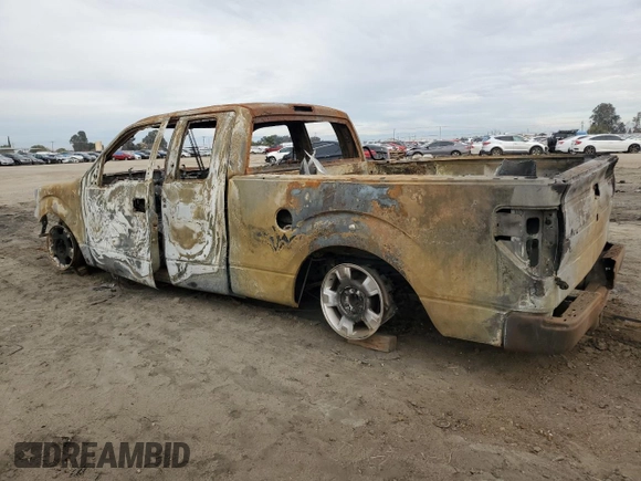 2010 Ford F-150 XL with VIN 1FTFX1CV0AFA36403, listed as a Copart auction lot 81621624 with 0 mi miles and Non Repairable. Bid and sale history available at carsss.com. Image 2.