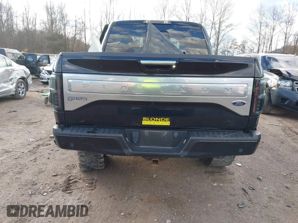 2016 Ford F-150 XLT with VIN 1FTEW1EG4GFA00476, listed as a IAAI auction lot 41218630 with Not provided miles and . Bid and sale history available at DreamBid. Image 15.