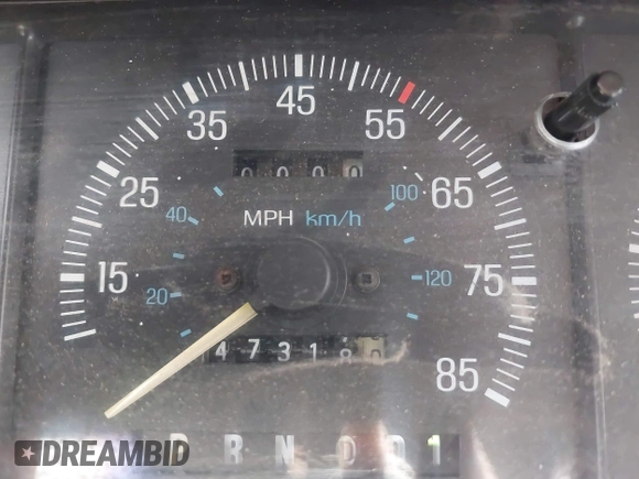 1990 Ford F-150 with VIN 1FTEX15N0LKA06904, listed as a IAAI auction lot 42603529 with 473,180 mi miles and . Bid and sale history available at DreamBid. Image 7.