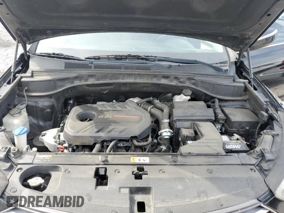 2017 Hyundai Santa Fe Ultimate с VIN 5NMZW4LA1HH046384, выставлен на аукционе Copart как лот 54149965 с пробегом 124 093 миль миль и Списание • Salvage title. История ставок и продаж доступна на DreamBid. Изображение 12.