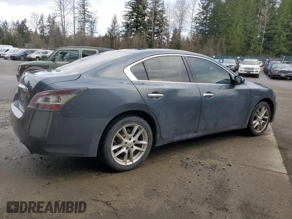 2013 Nissan Maxima SV with VIN 1N4AA5AP2DC831357, listed as a Copart auction lot 49507355 with 206,941 mi miles and Clean title. Bid and sale history available at DreamBid. Image 3.
