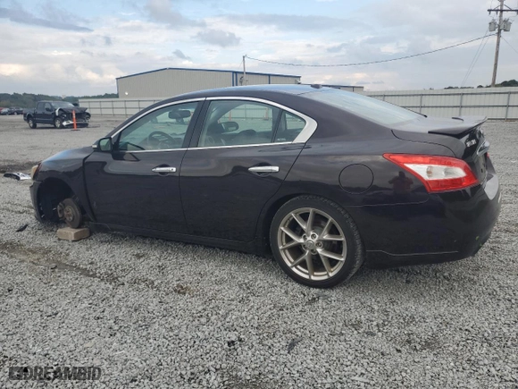 2010 Nissan Maxima 3.5 SV w/Sport Pkg with VIN 1N4AA5AP2AC874477, listed as a Copart auction lot 72167404 with 99,146 mi miles and Salvage Title. Bid and sale history available at carsss.com. Image 2.
