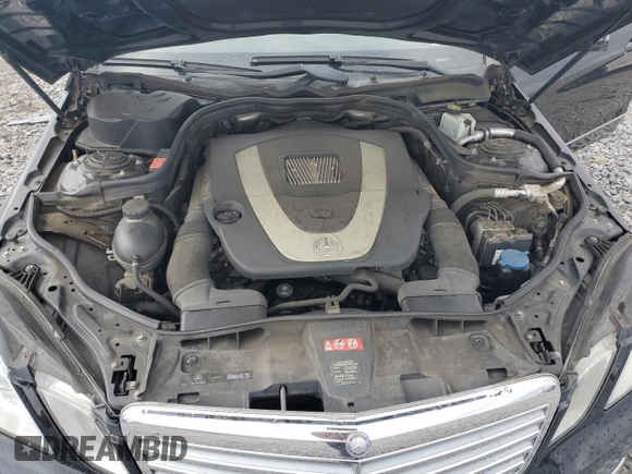 2010 Mercedes-Benz E 350 Luxury with VIN WDDHF5GB8AA216363, listed as a Copart auction lot 48805565 with 165,131 mi miles and Salvage Title. Bid and sale history available at DreamBid. Image 12.