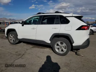 2019 Toyota RAV4 XLE with VIN 2T3W1RFV8KC028630, listed as a Copart auction lot 49307165 with 32,043 mi miles and Salvage Title. Bid and sale history available at DreamBid. Image 2.